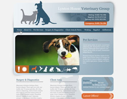 examples of web design